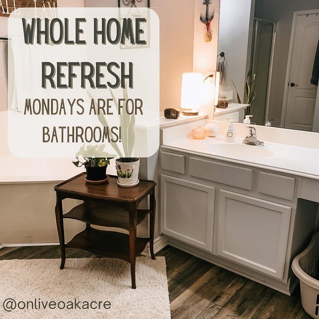 The Whole Home Refresh bathroom with tub and counters