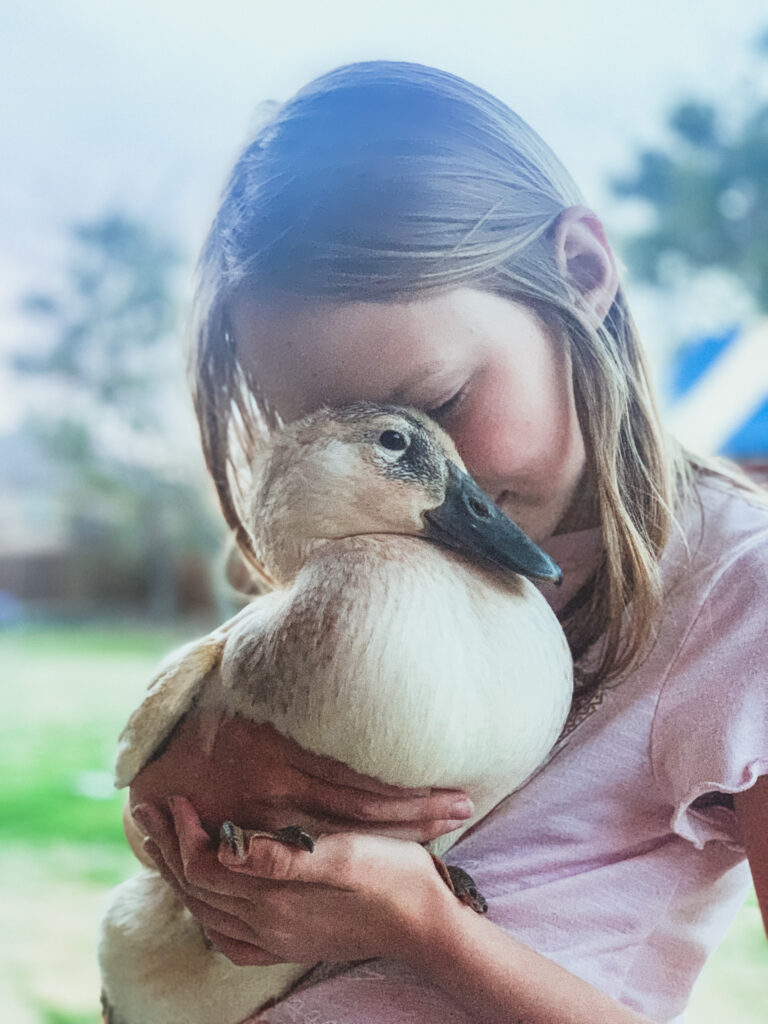 5 reasons to homestead with ducks