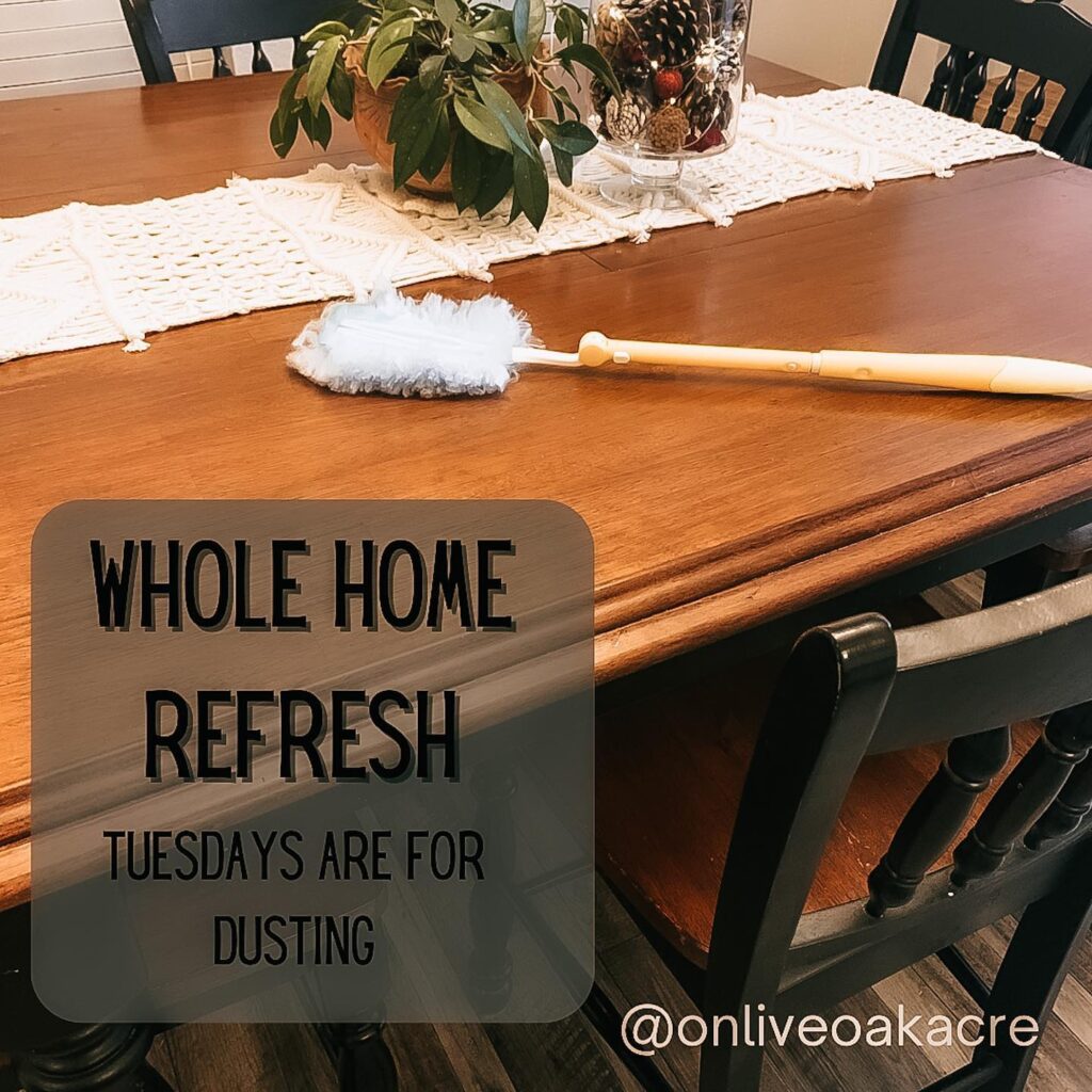 The Whole Home Refresh 2023 Tuesdays are for dusting